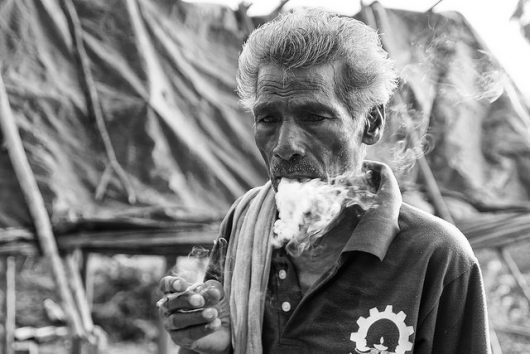 Tobacco