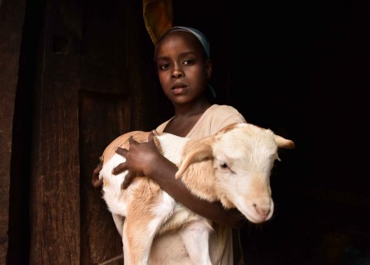 Poverty in Ethiopia