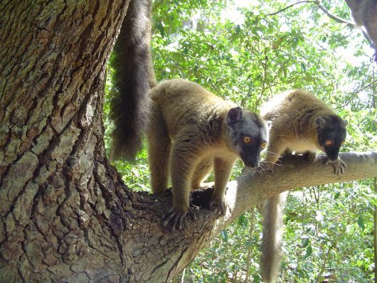 Mayotte