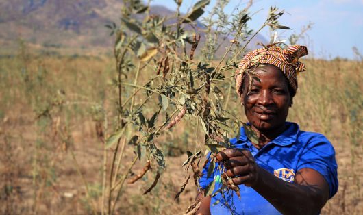 How to Help People in Mozambique
