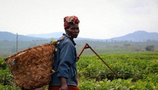 The Role of the Private Sector in Poverty Alleviation