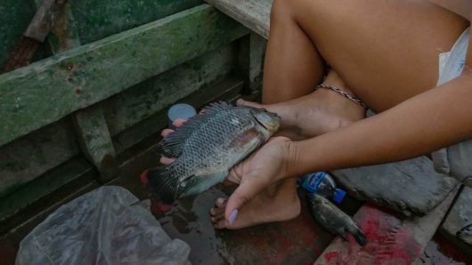 Poverty in Suriname