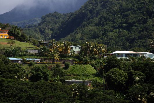 Diseases in Dominica