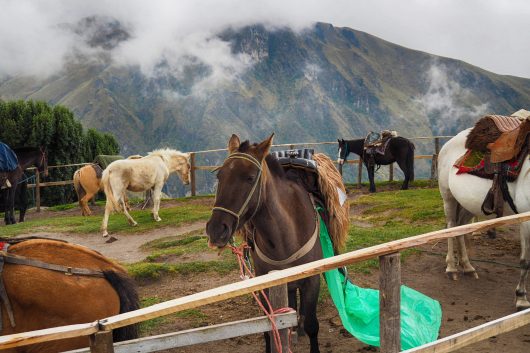 How the U.S. Benefits From Foreign Aid to Ecuador