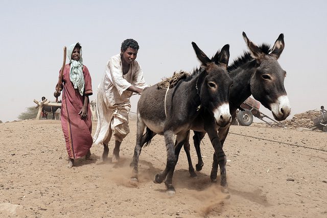 How the U.S. Benefits from Foreign Aid to Sudan