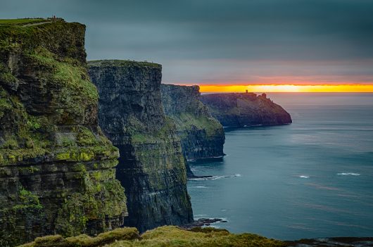 Diseases in Ireland