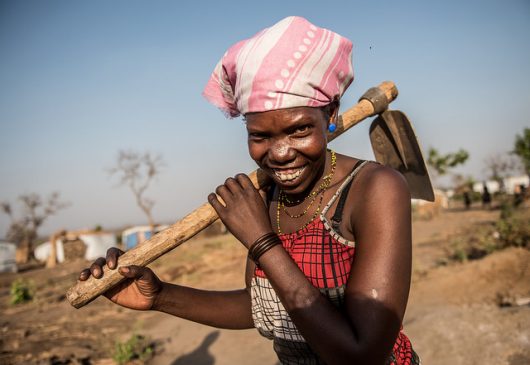 Two Current Programs for Sustainable Agriculture in Nigeria