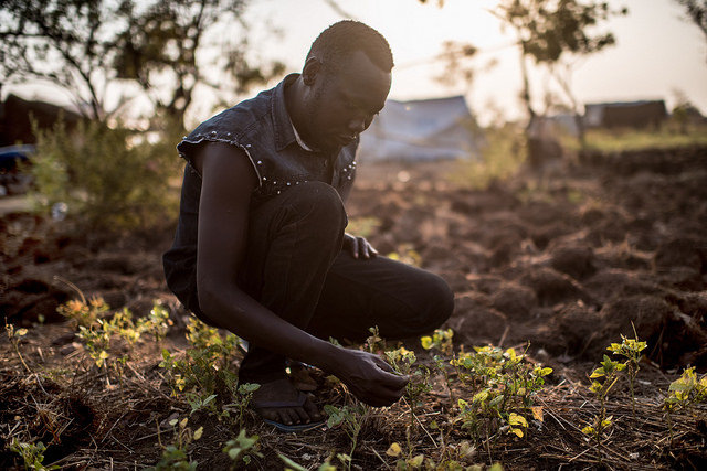 sustainable South Sudan