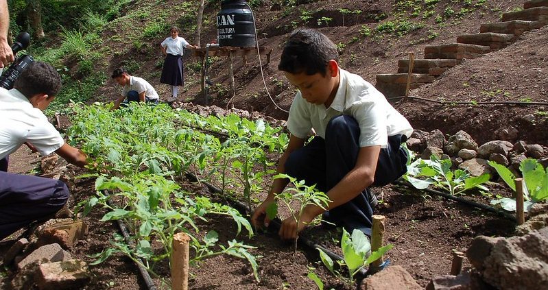 Food Security in Nicaragua