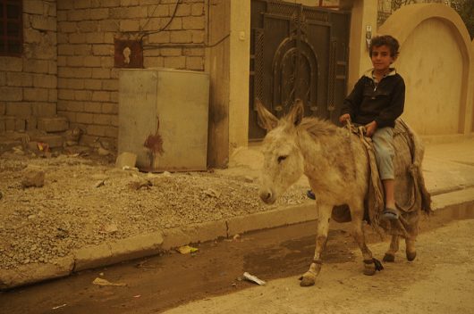 Child Soldiers in Iraq