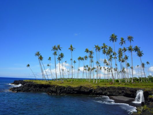 sustainable agriculture in American Samoa