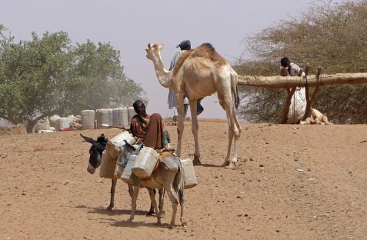 Water for Developing Countries