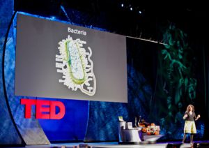 5 TED Talks in 5 Minutes