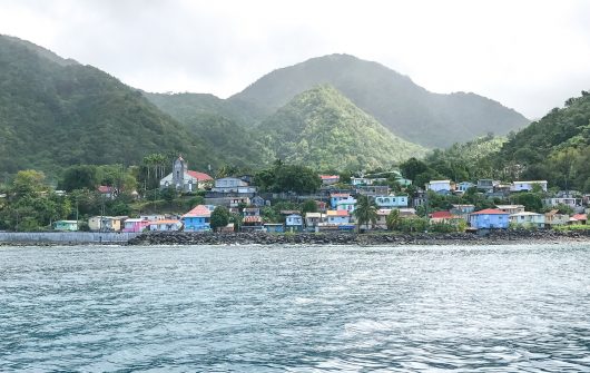 Staving Off Post-Hurricane Hunger in Dominica