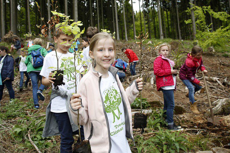 Planting Trees Can Alleviate Poverty