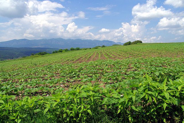Sustainable Agriculture in Bulgaria