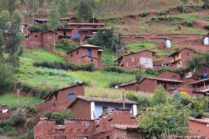 Plant Powered Lamps Light Up Peruvian Villages