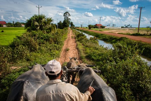 Farmers in Developing Countries