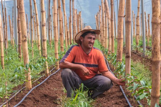 Credit Access in El Salvador