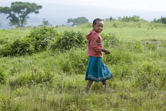  Education in Kilimanjaro