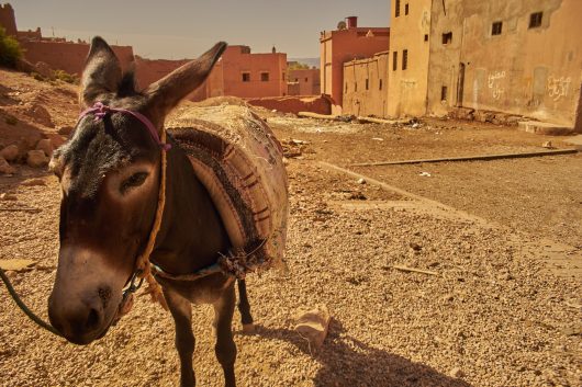 Assessing Credit Access in Morocco