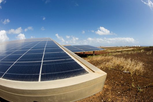 Eco-Friendly Measures Combat Poverty