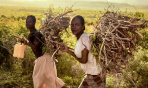 African Agriculture and Agribusiness Will Grow to $1 Trillion by 2030