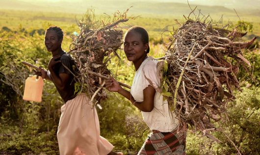 Examining the South African Development Plan