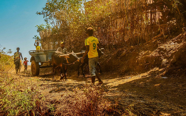 Plague in Madagascar Affects Thousands