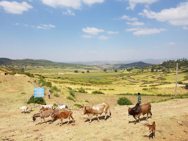  Eritrea