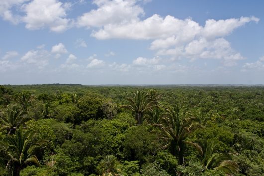 Hope for Improvement of Infrastructure in Belize