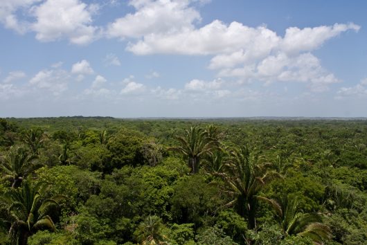 Hope for Improvement of Infrastructure in Belize