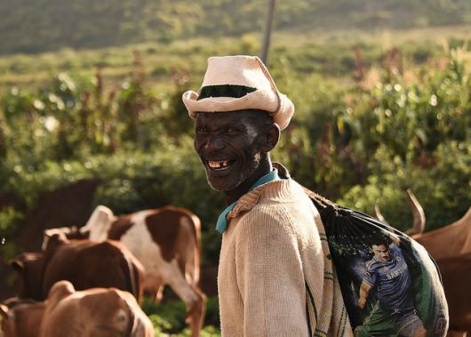 Apps That Help Impoverished Countries: iCow