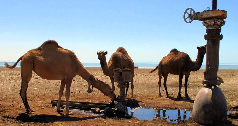 Food Security in Saudi Arabia