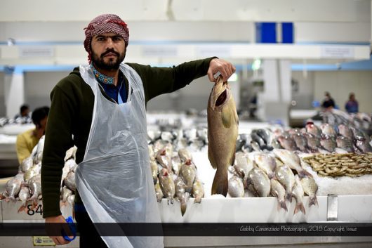 Top 10 Facts About Poverty in the United Arab Emirates