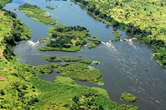 The Most Common Diseases in Burundi