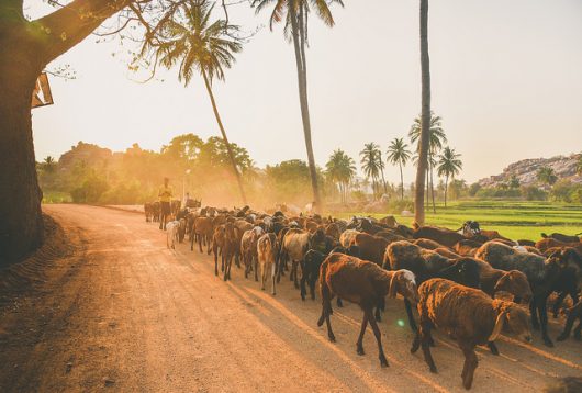 How Economic Inequalities Harm Societies