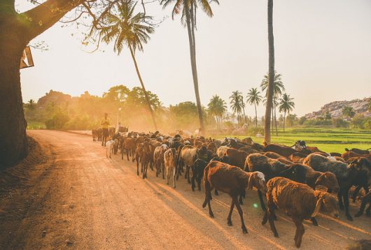 How Economic Inequalities Harm Societies