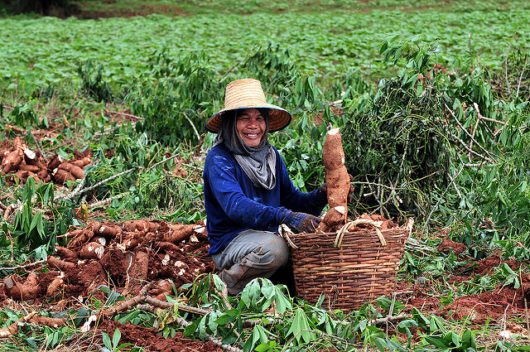 Technology Transforms Agriculture in Developing Countries