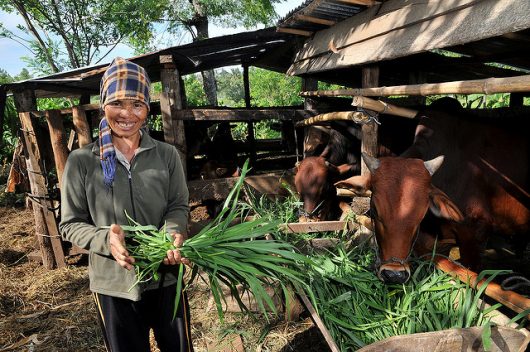 Poverty in Vietnam