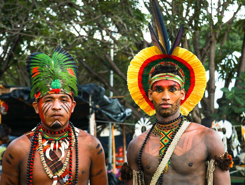 indigenous education in brazil