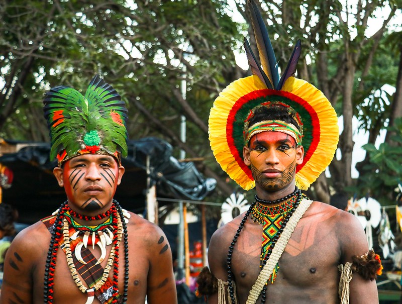 indigenous education in brazil