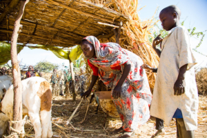 Malnutrition in Darfur