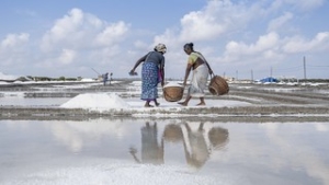 Social Enterprise Helping India's Salt Harvesters