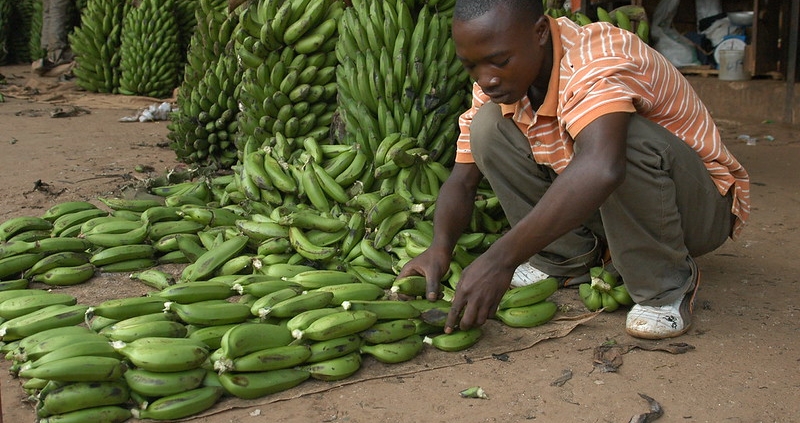 Nutrition Security in Rwanda
