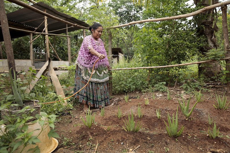 Global Land Rights