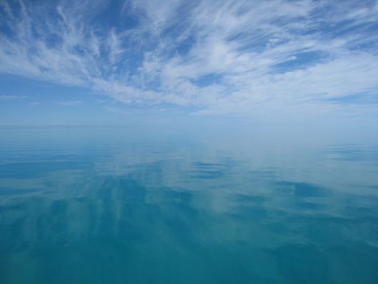 Water Quality 