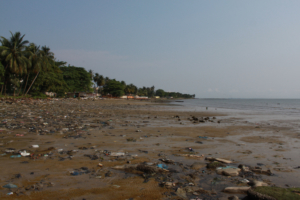 UN Warns Environmental Threats Increase Poverty
