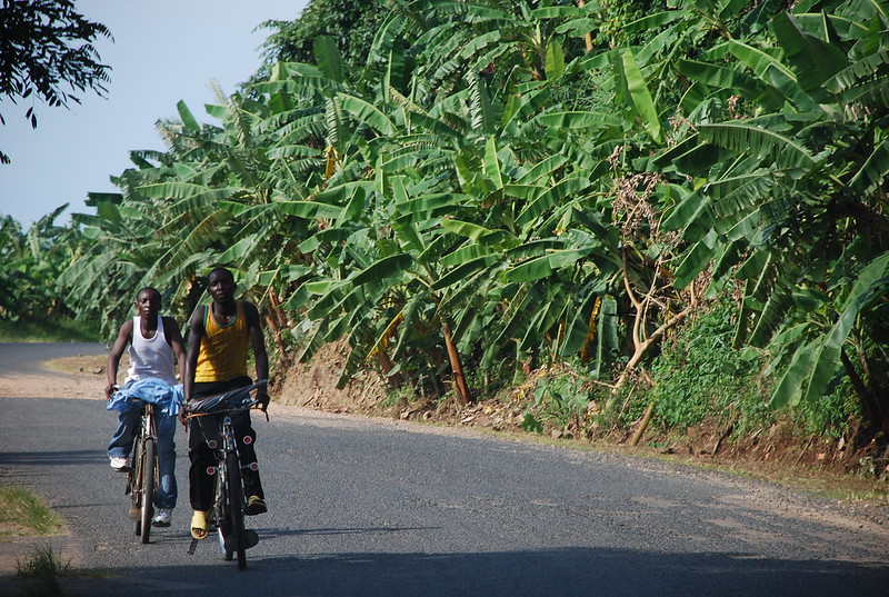 Mental Health Care in Africa 