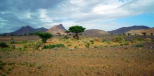Food Security in the Sahel